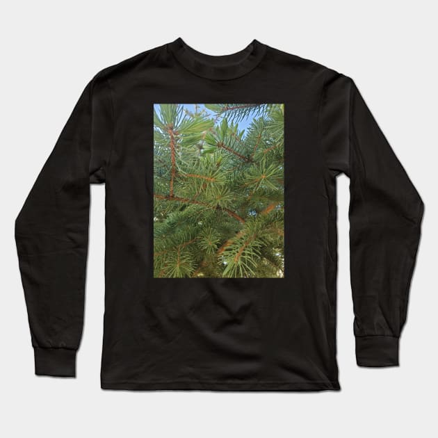 Pine Needles Long Sleeve T-Shirt by Kyarwon